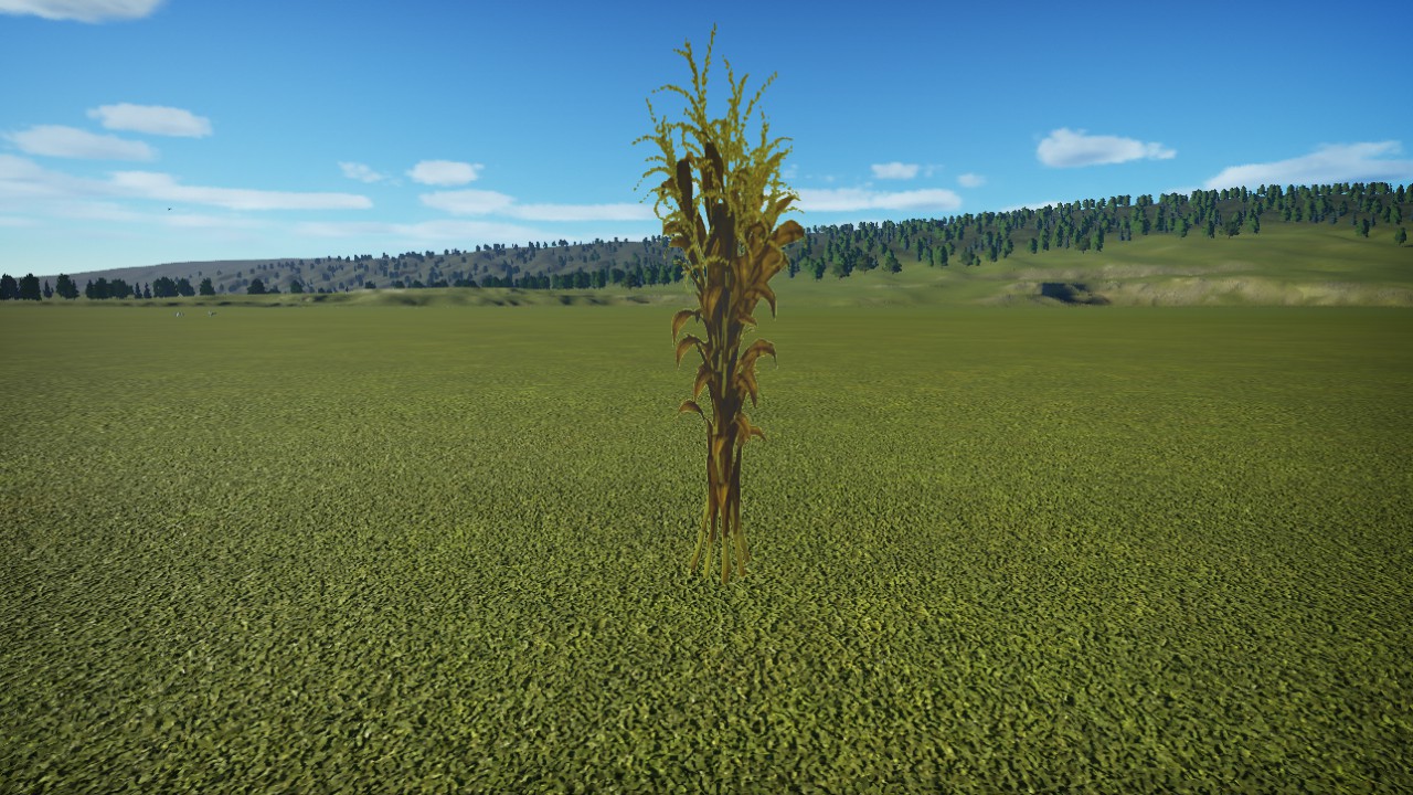 OZ-CornStalks2DFlat