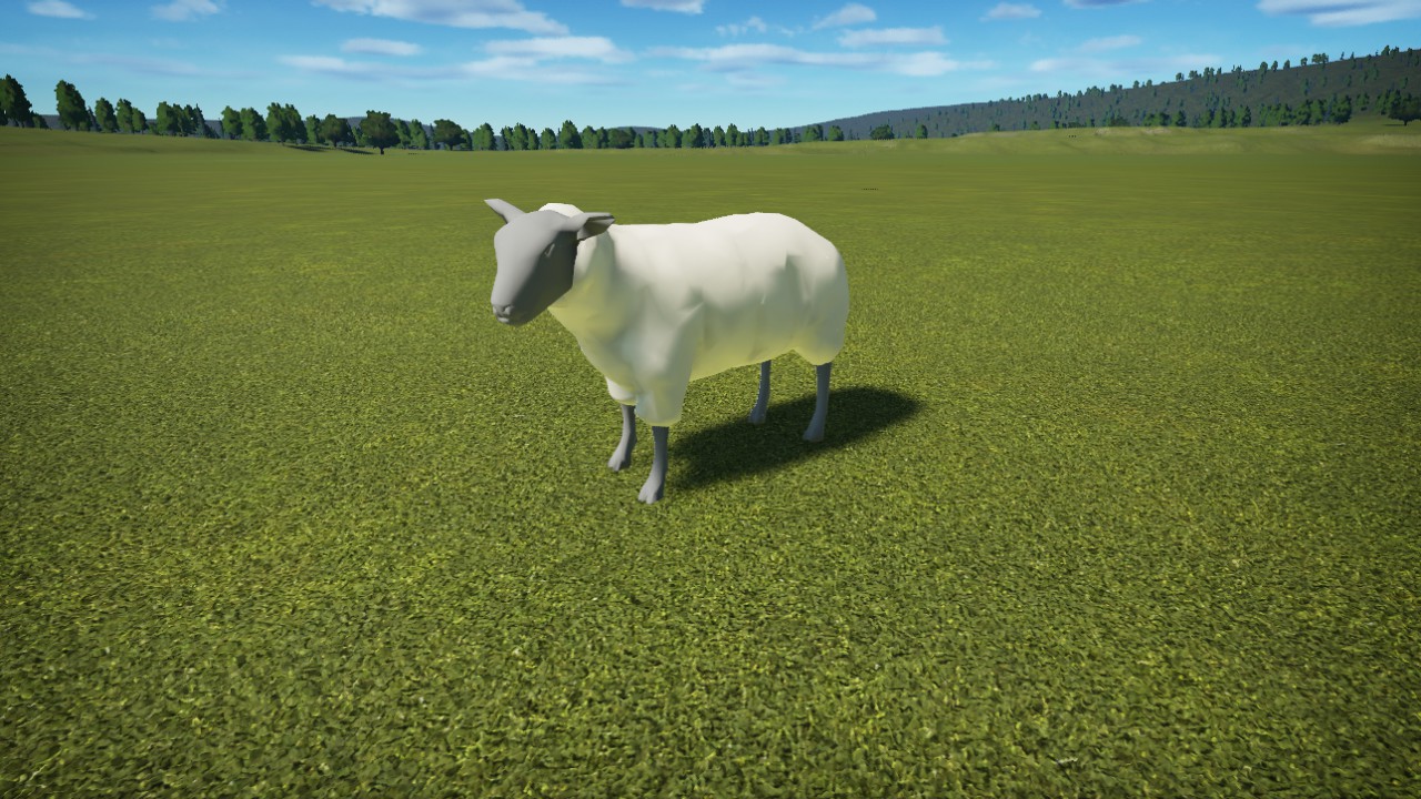 OZ-Sheep2