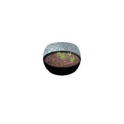 plant project preview