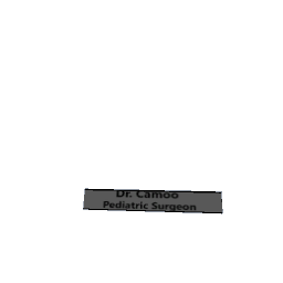 name template peds hospital 3 preview