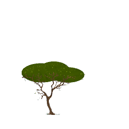 tree decal for kids 2 preview