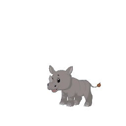 Rhino decal