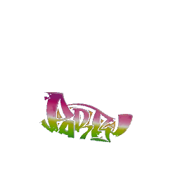 Party graffiti preview