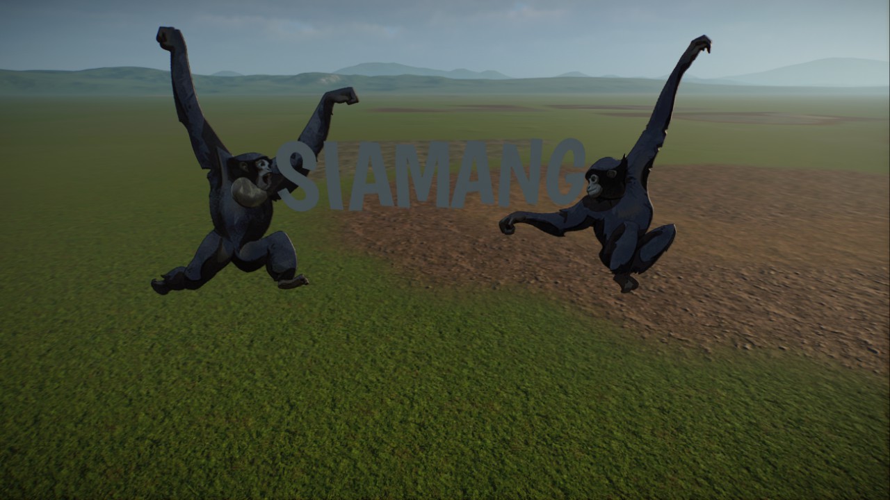 Siamang Sign