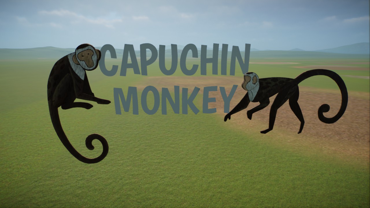 Colombian White Faced Capuchin Monkey Sign