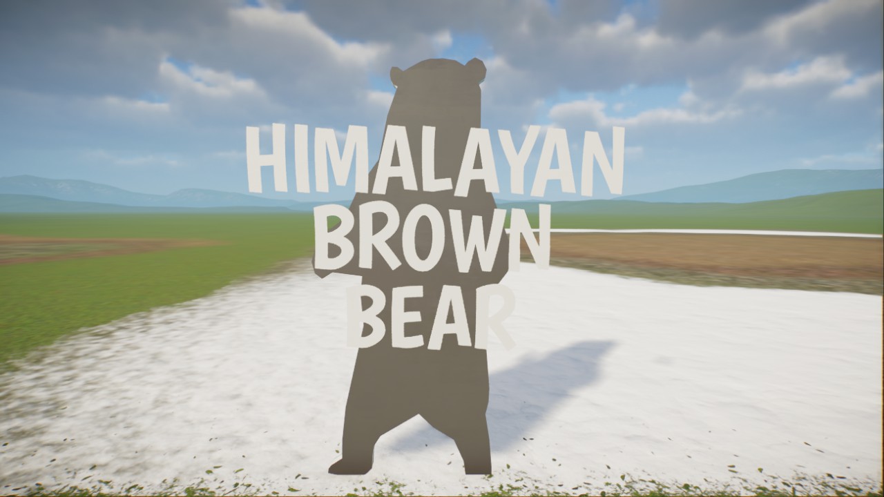 Himalayan Brown Bear Sign