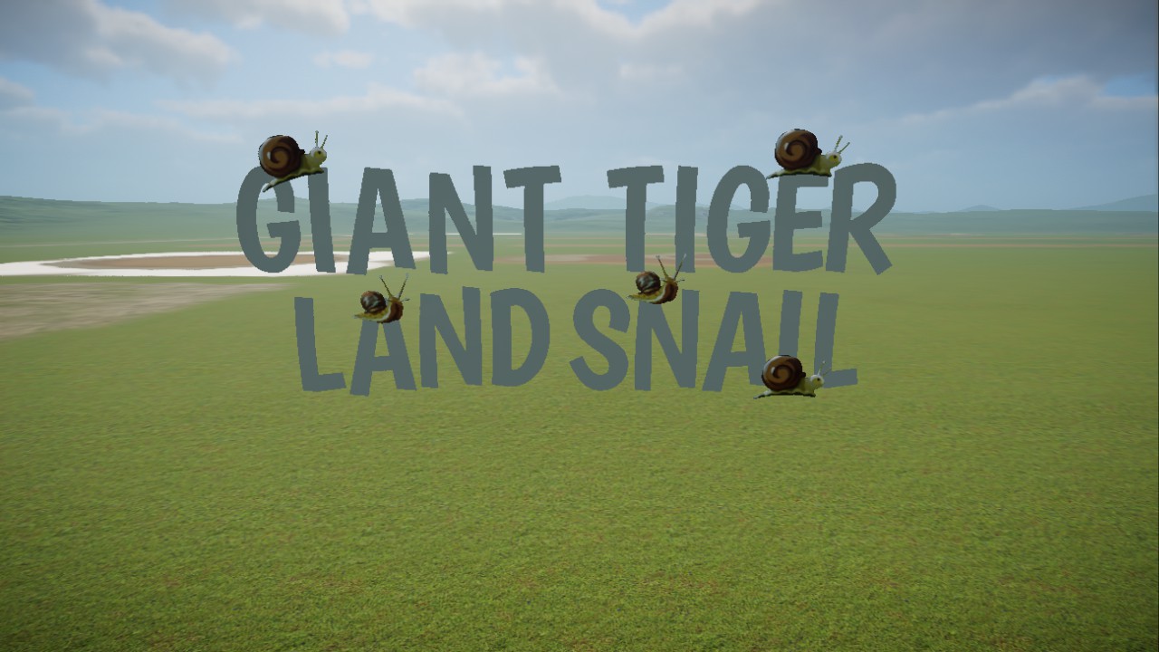 Giant Tiger Land Snail Sign