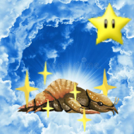 Invincible Orange Boy Pet
