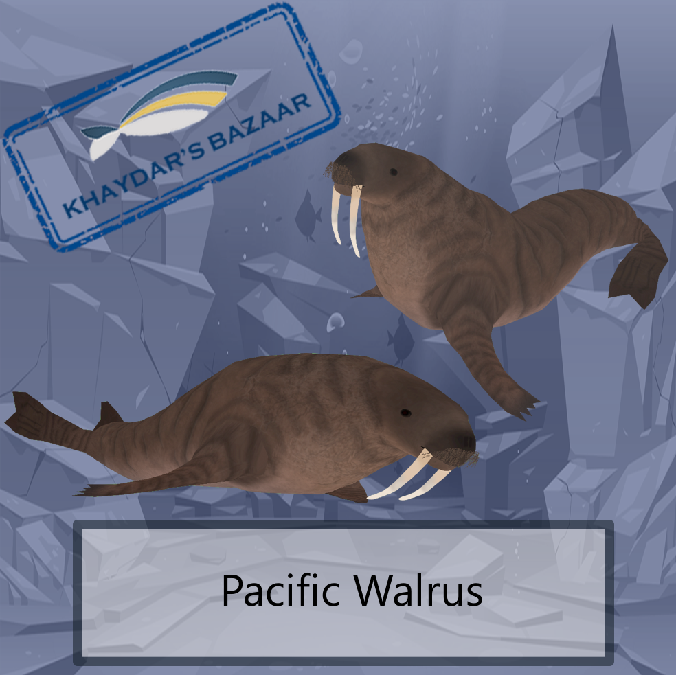 Khaydar's Bazaar - Walrus