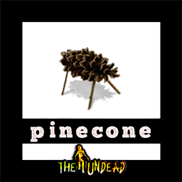 Pinecone Pig