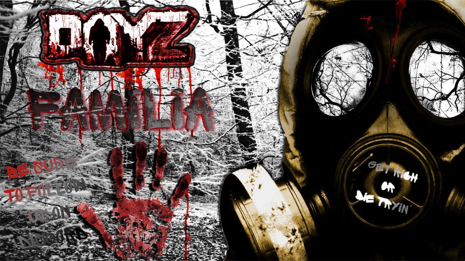 DZF DayZFamilia
