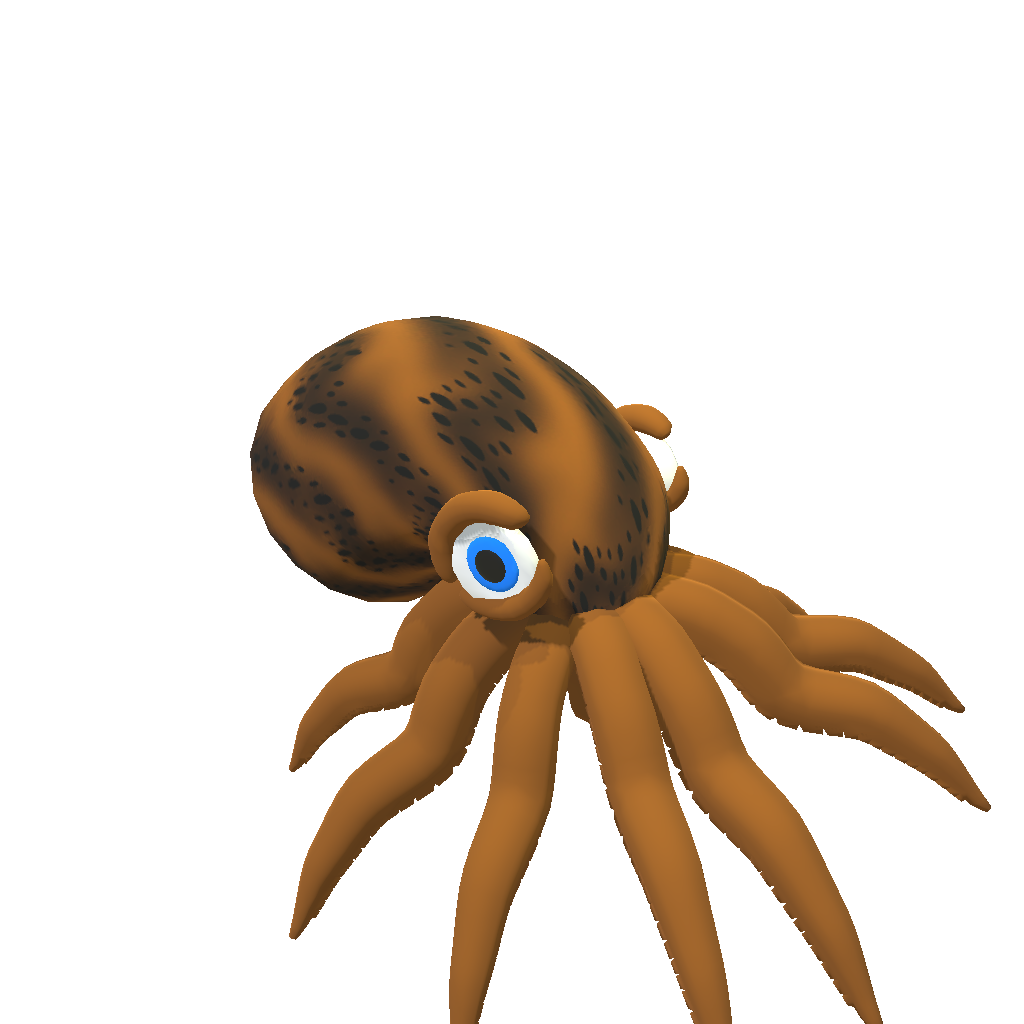octopus