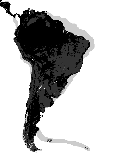 South America
