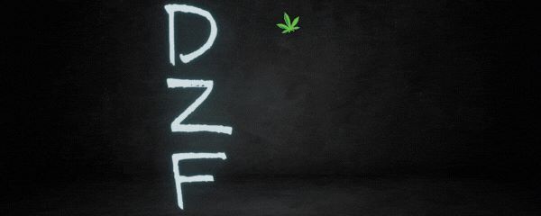 DZF_Garage