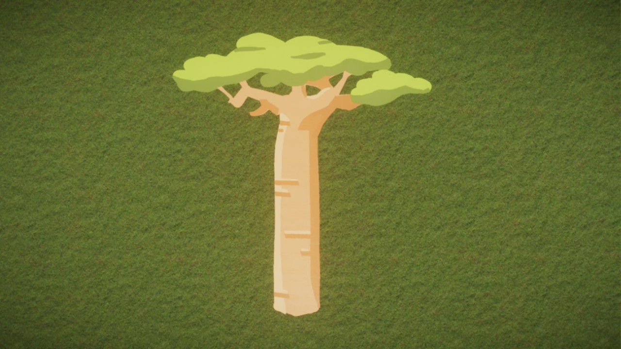 Madagascar Baobab Sign - Safari Pack