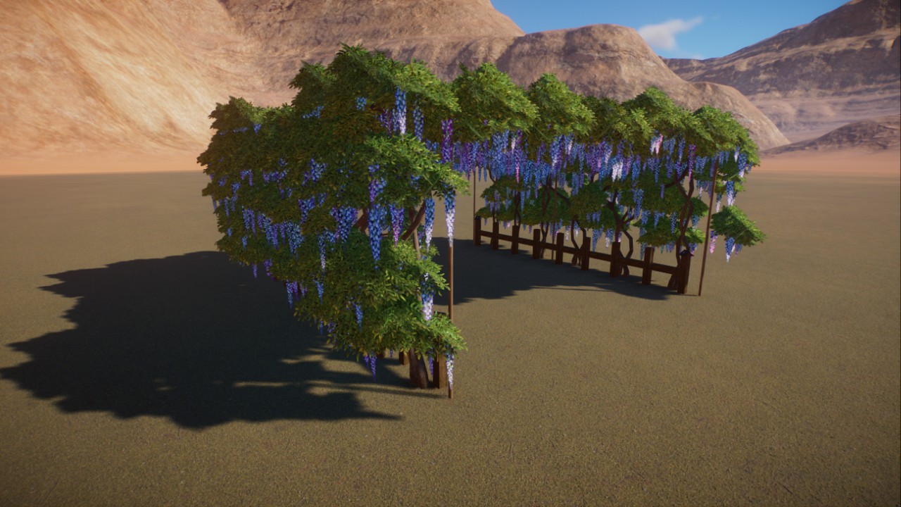 Japanese wisteria