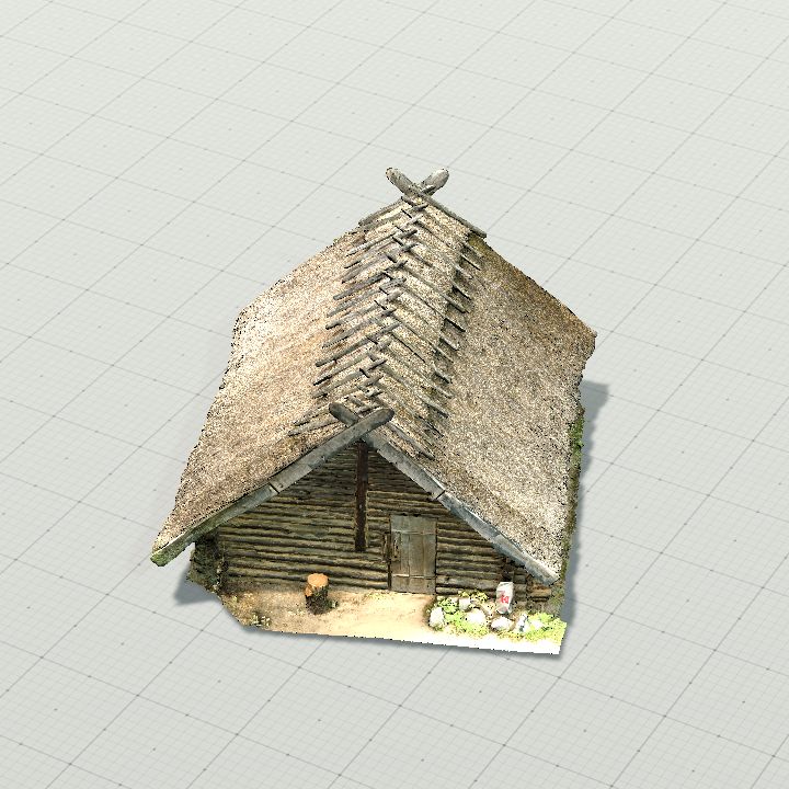 Primitive house 04