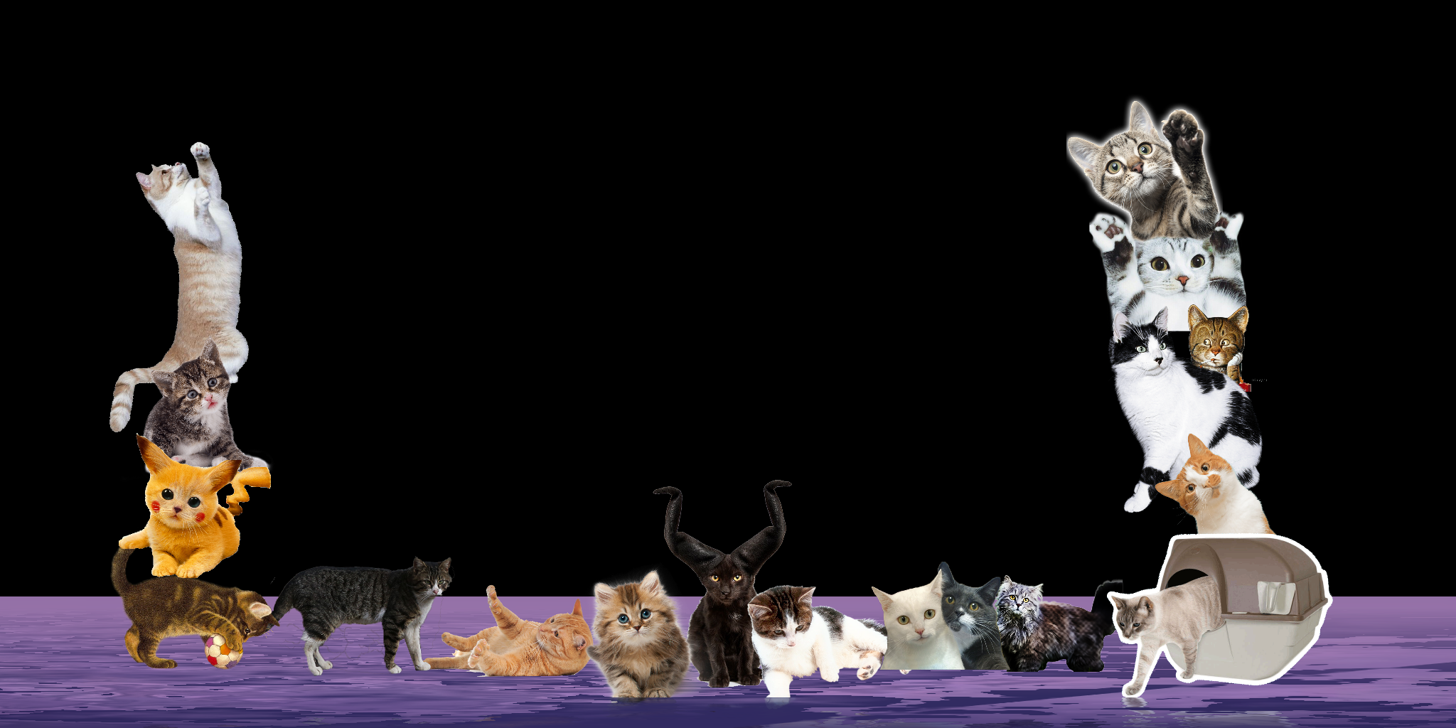 Thunderdome of cats