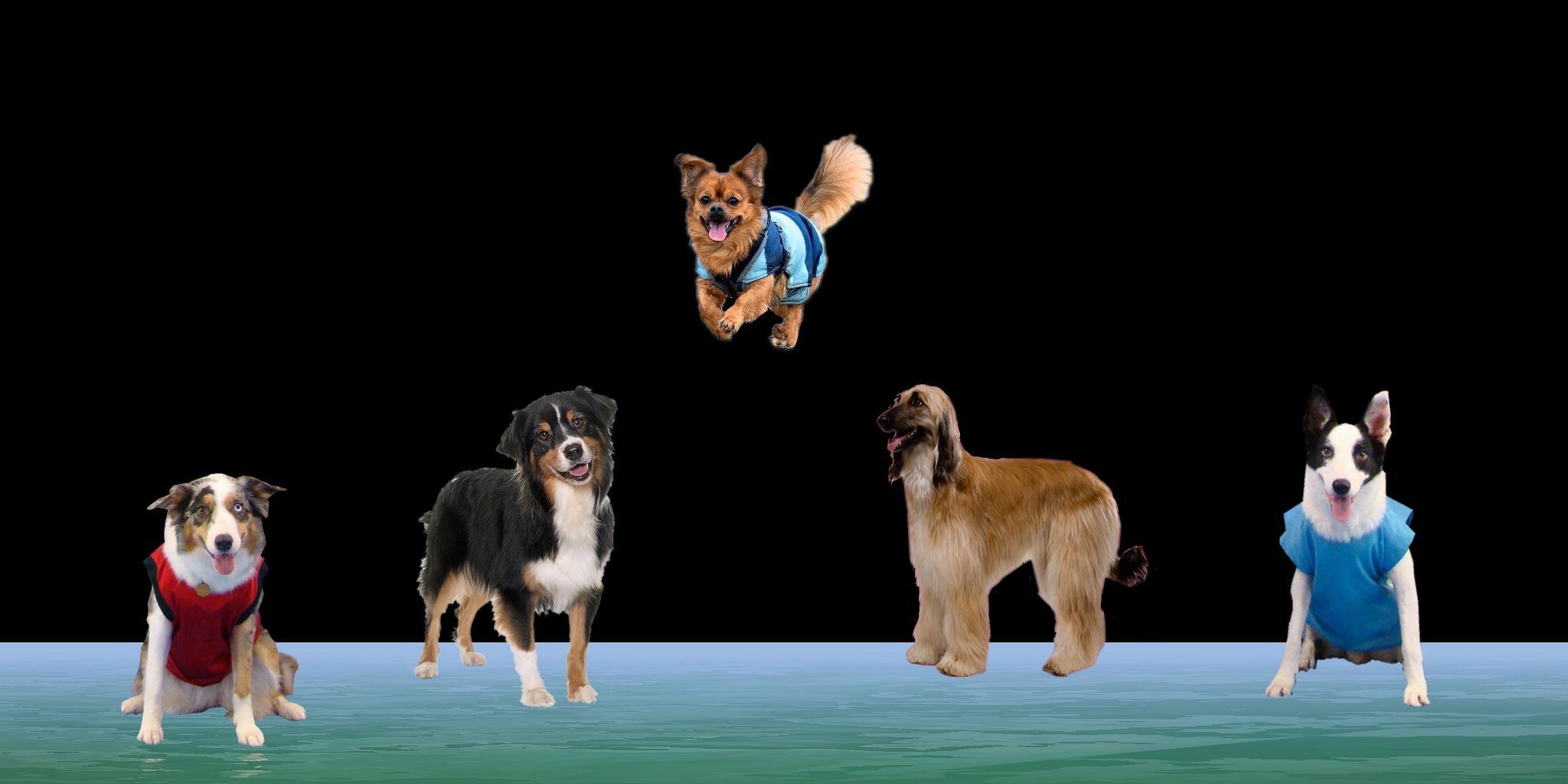 Dog eat dog world