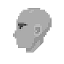 Human