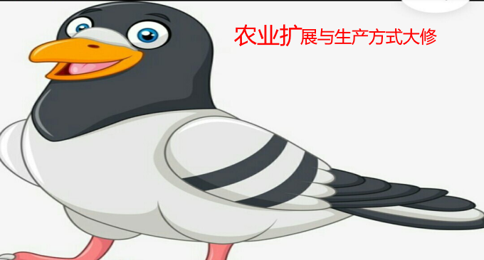 农业扩展与生产方式大修