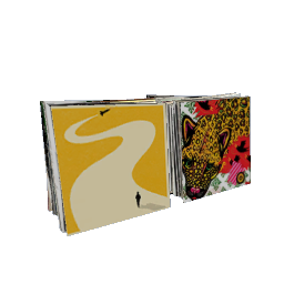 Vinyl Records (Standing Pairs)- V10