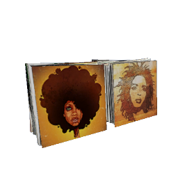 Vinyl Records (Standing Pairs)- V11