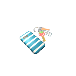 Phone and Keys Clutter- V4