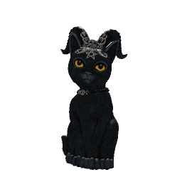 Witch Cat