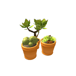 Cactus Trio- V1
