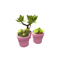 Cactus Trio- V2