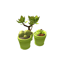 Cactus Trio- V4