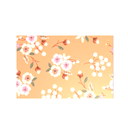 Colorful Rug- V2