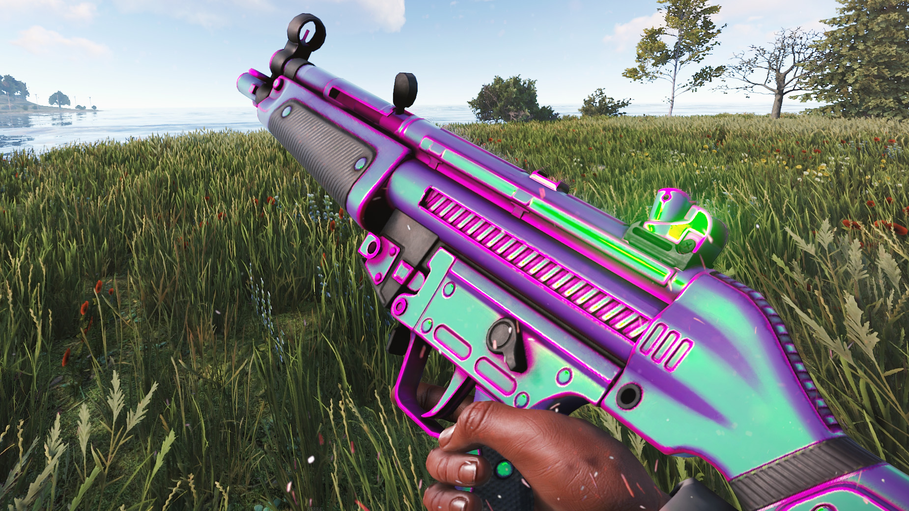 Chameleon MP5