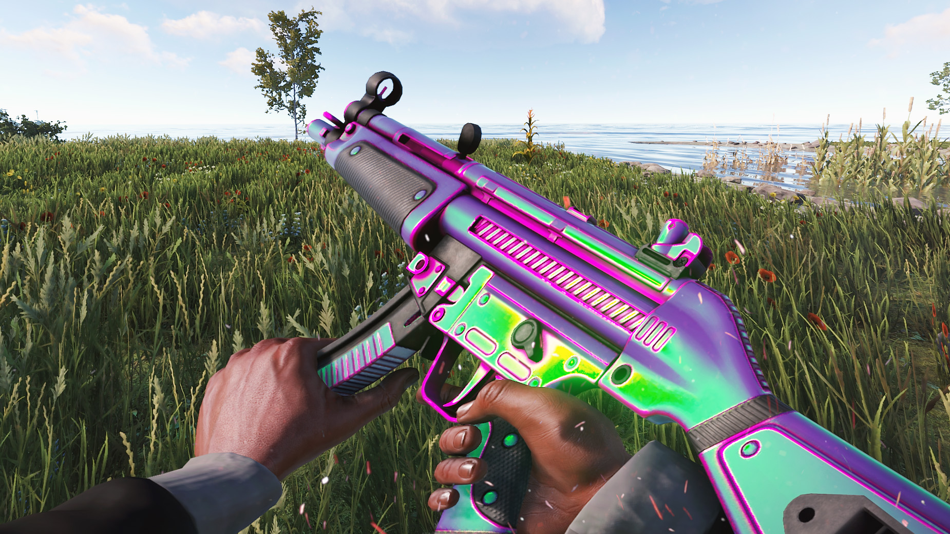 Chameleon MP5