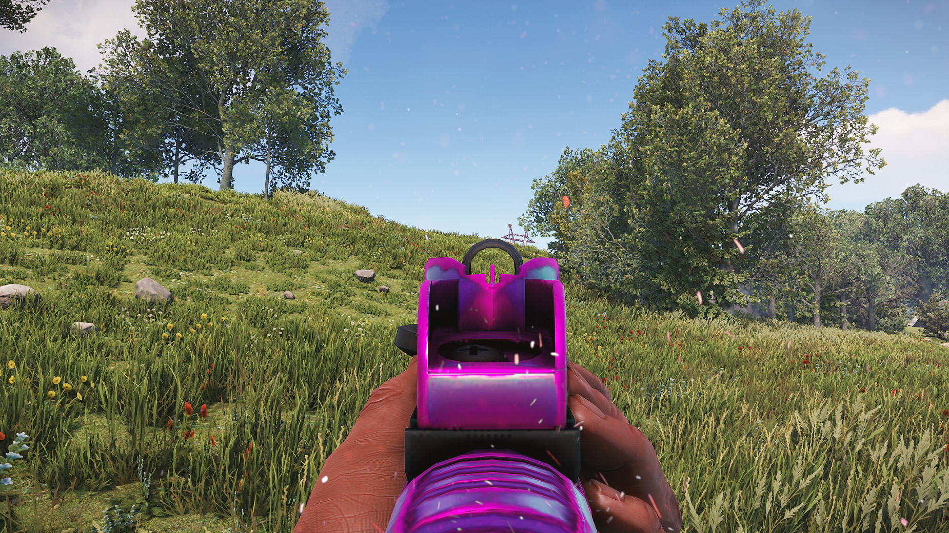 Chameleon MP5