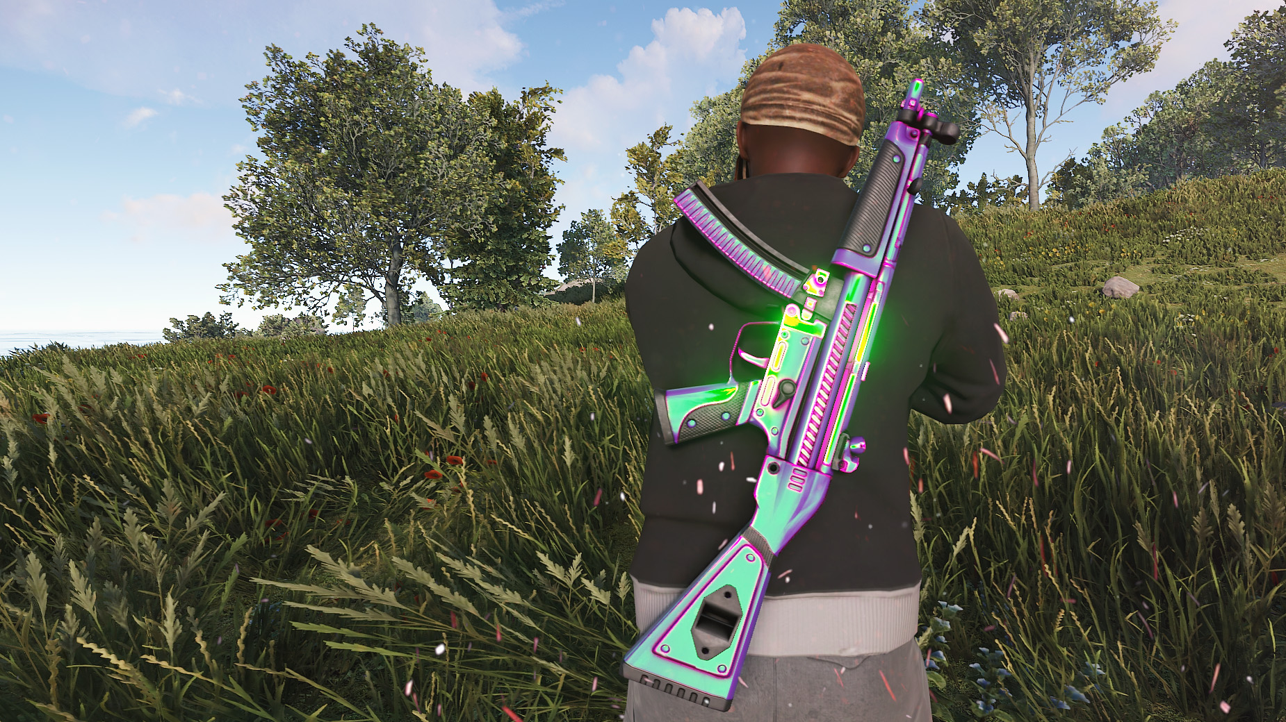 Chameleon MP5