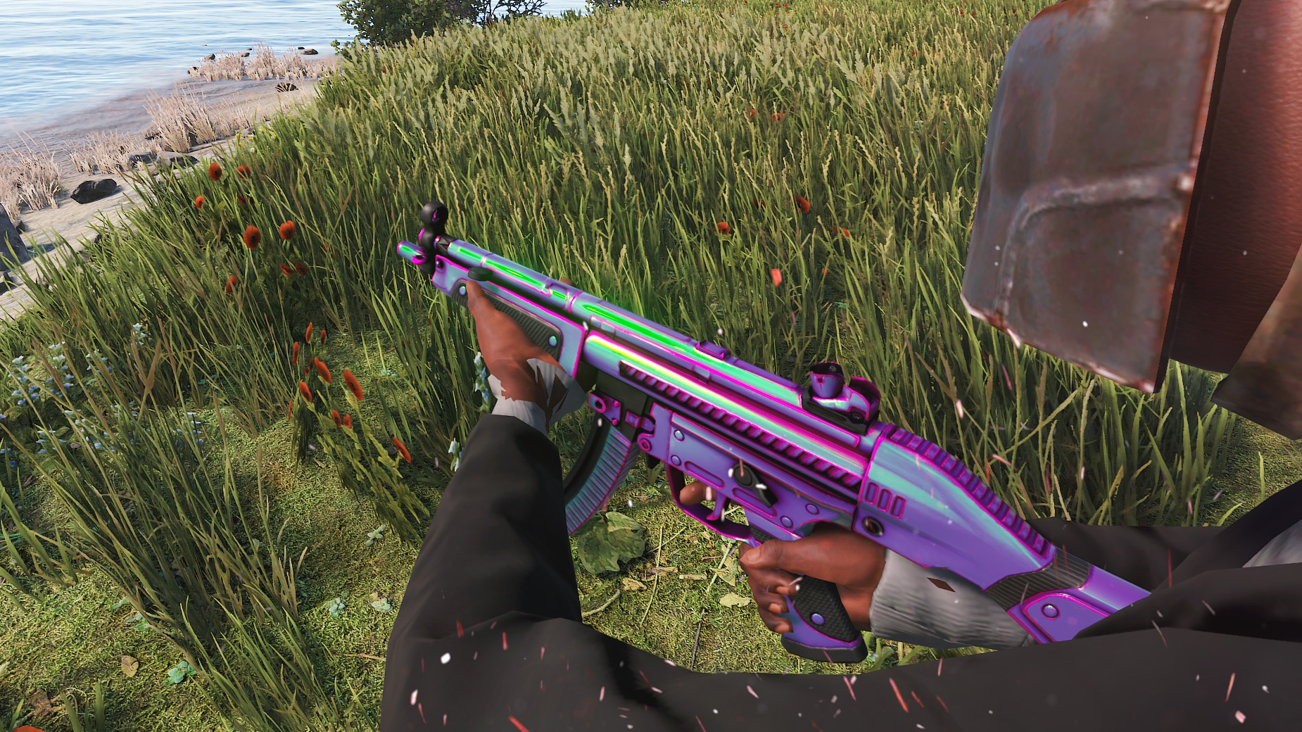 Chameleon MP5