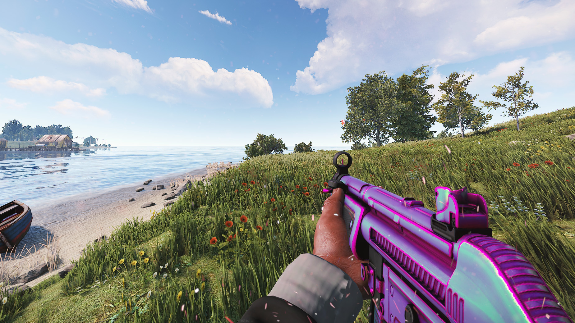 Chameleon MP5