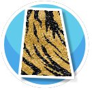 Shiny tiger