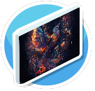 Birdy Canvas