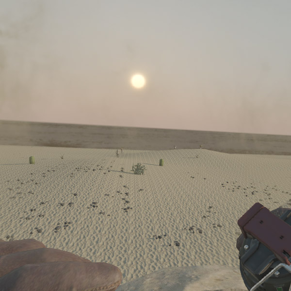 Stranded in Nevada