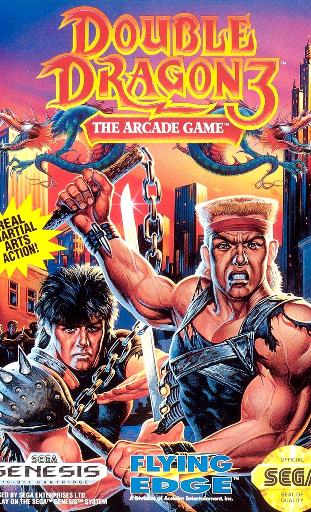 Double Dragon 3 Poster