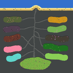 Ant Farm