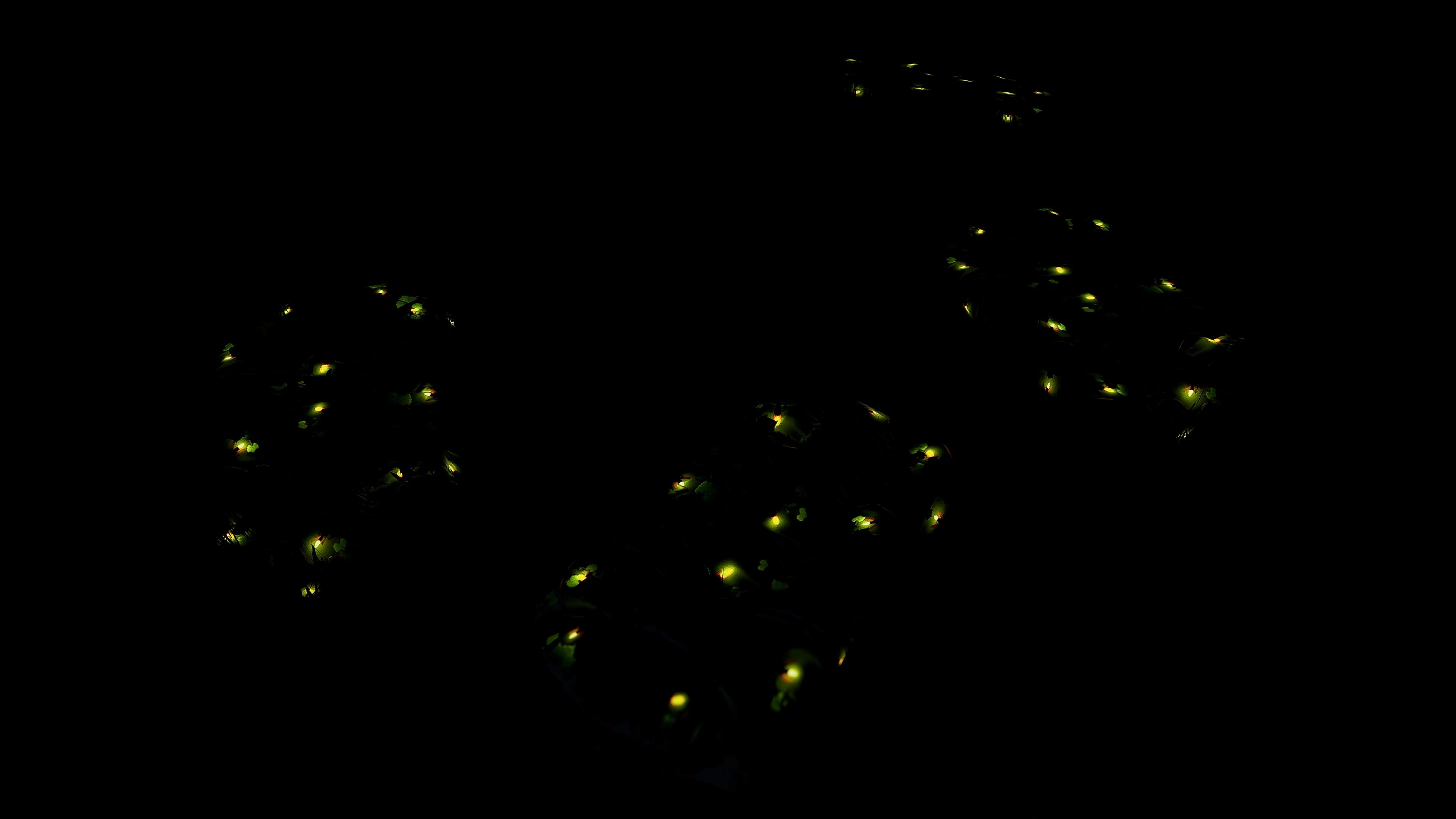 Fireflies Sleeping Bag