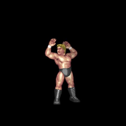 Randy Orton Taunt