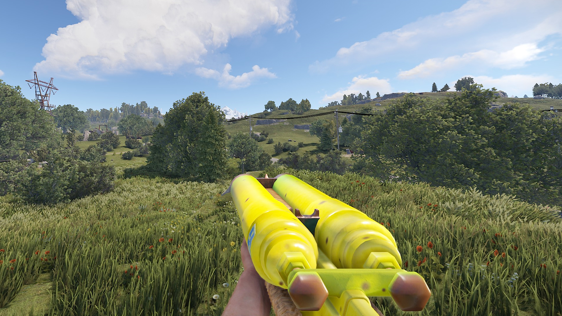 Double Barrelnana