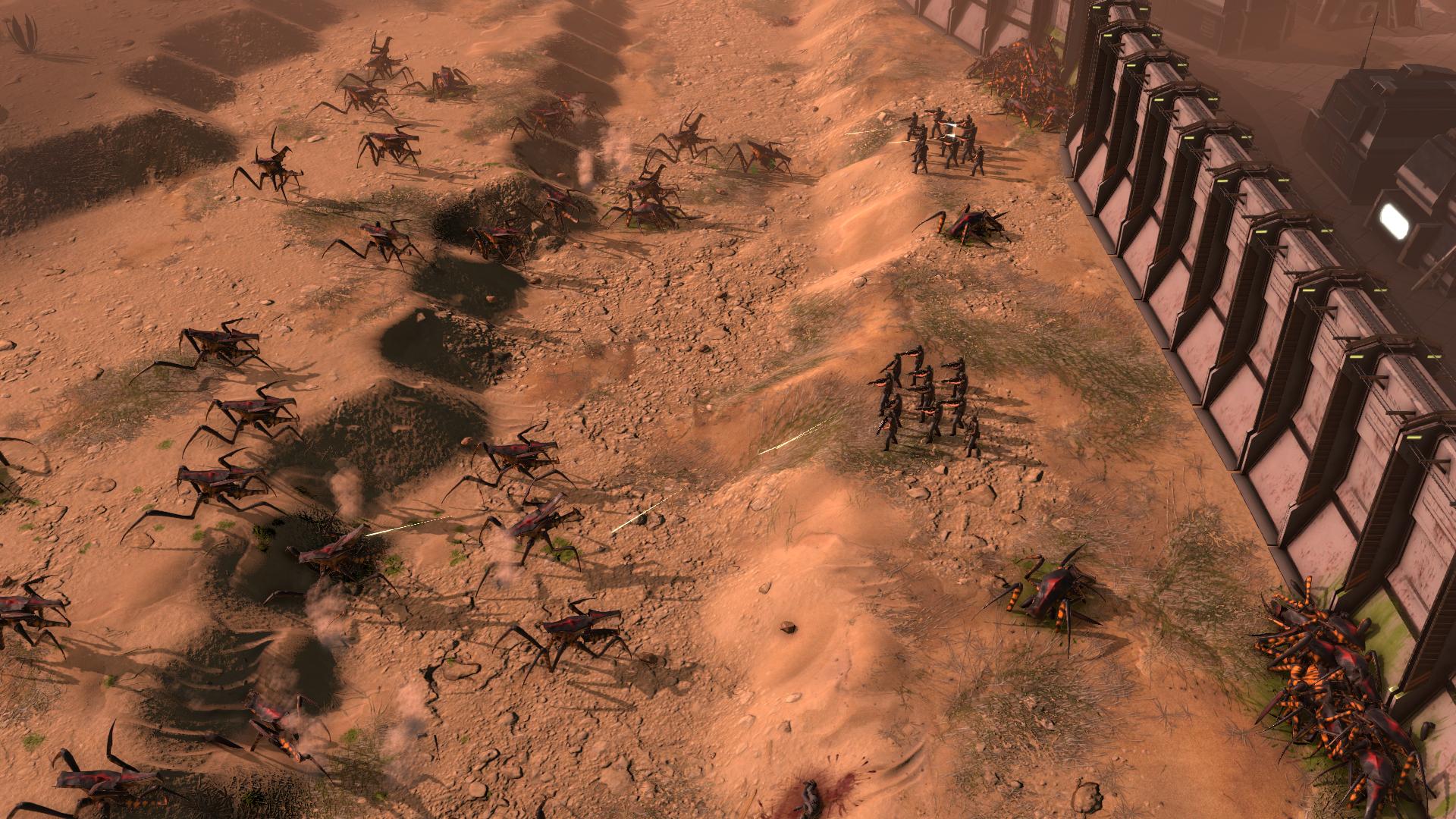 Operation Shieldwall