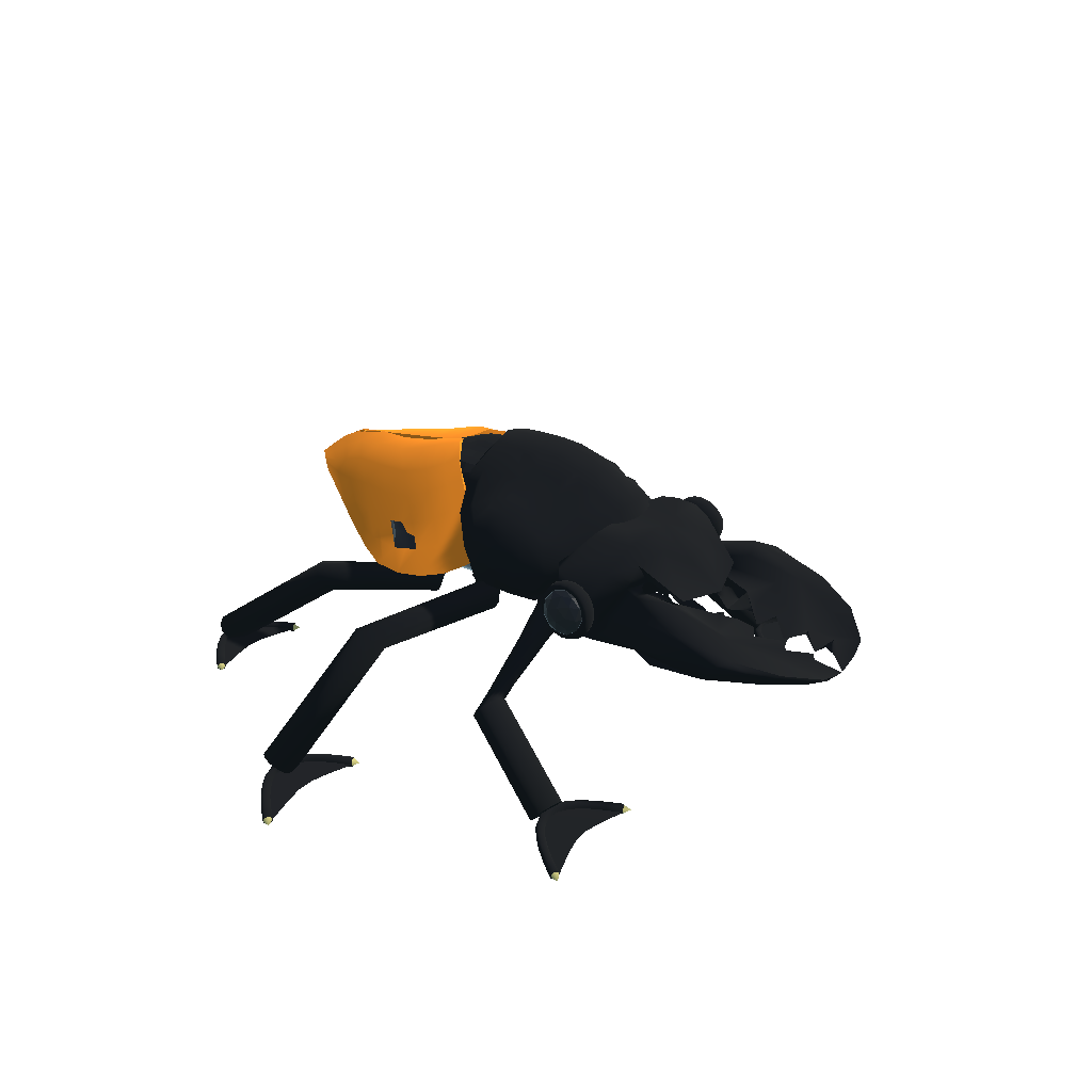 Stag　Beetle
