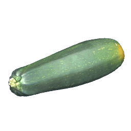 Zucchini Vegetable
